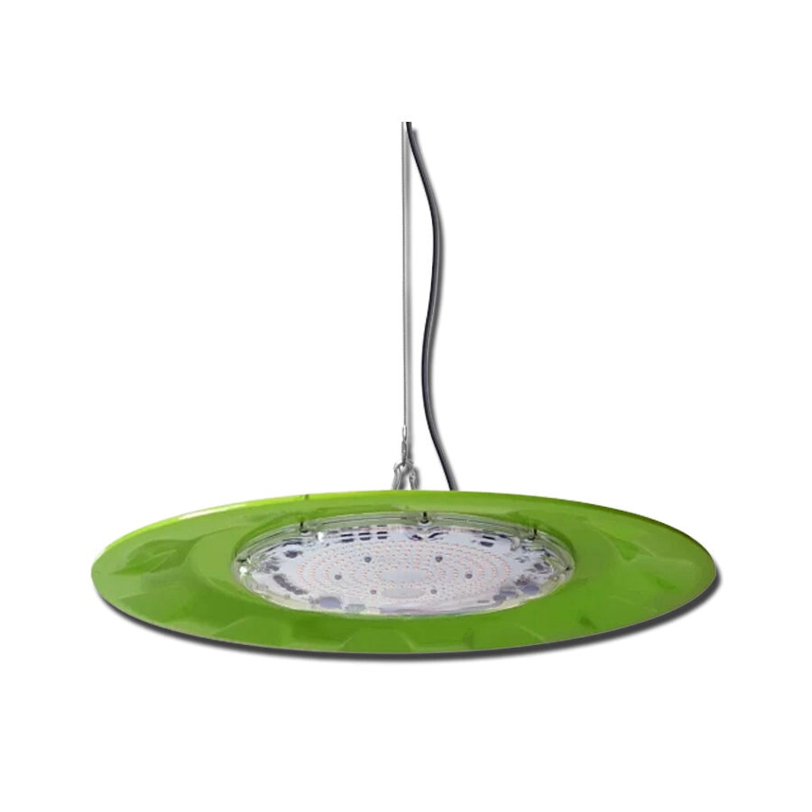 COGORDO C800 DOB 150W