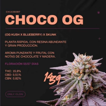 ESQUEJE COCHO OG