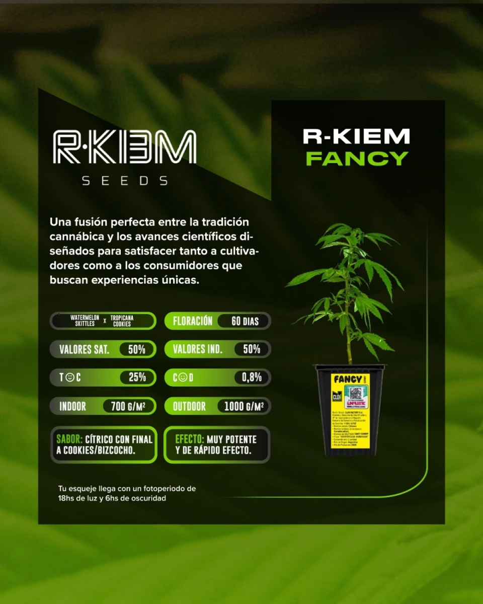 ESQUEJE KIEM FANCY