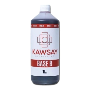 KAWSAY BASE B 1 LT